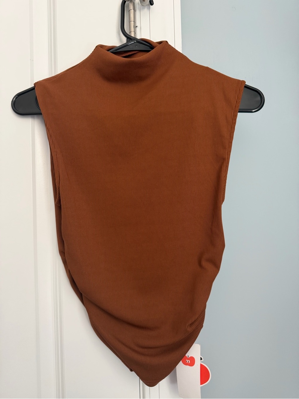 Cider Sleeveless Ribbed Mock Neck Tank in Rust Brown